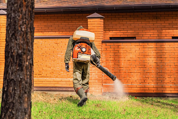 Trusted Termite Control service in Ewa Gentry, HI - Nex Pest Control